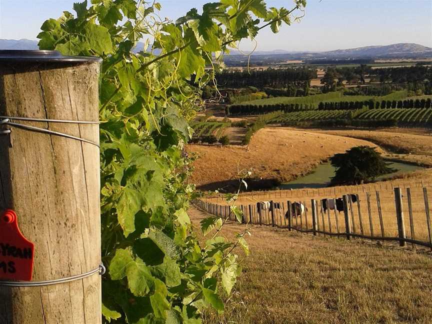 Martinborough Wine Tours, Martinborough, New Zealand