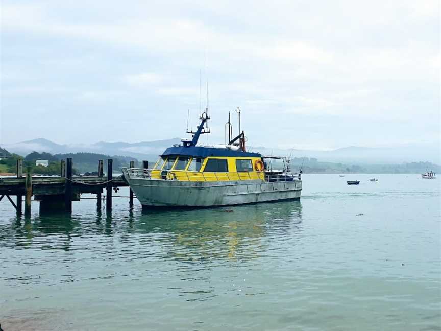 Moeraki Fishing Charters, Moeraki, New Zealand