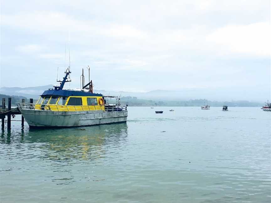 Moeraki Fishing Charters, Moeraki, New Zealand