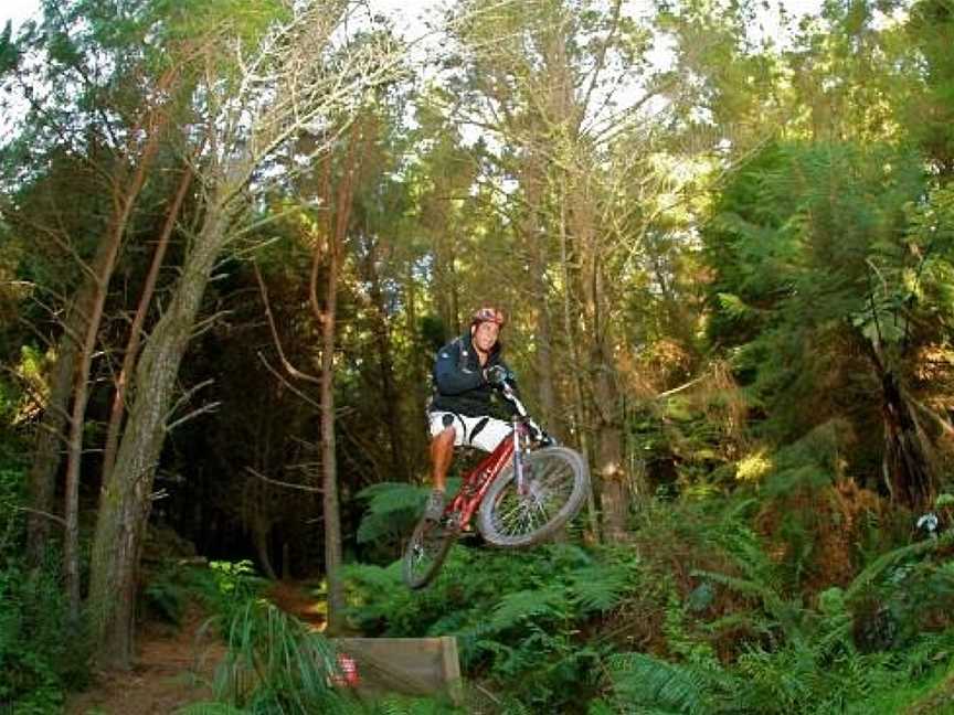 Mountain Bike Rotorua- Day Tours, Rotorua, New Zealand