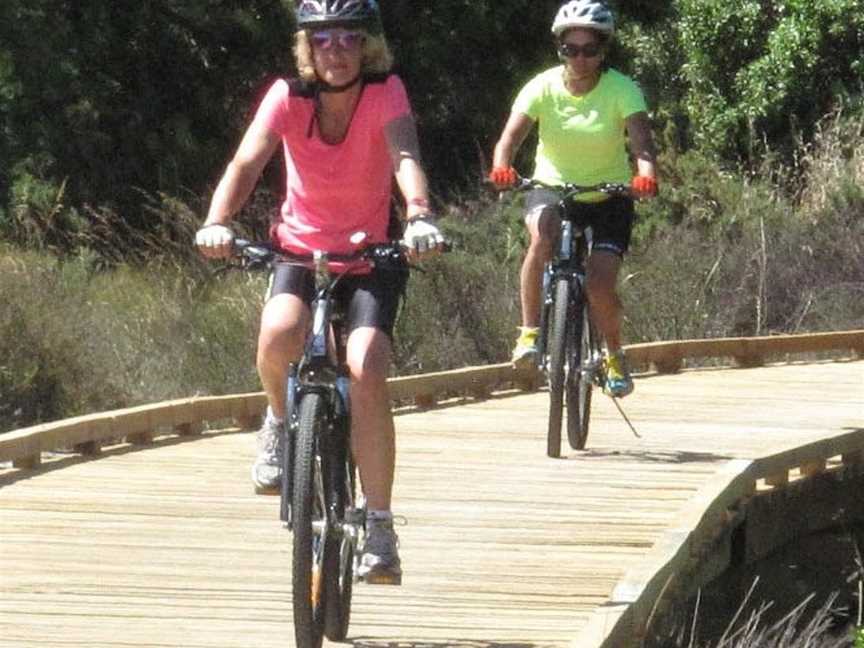 Nelson Cycle Hire and Tours, Nelson, New Zealand