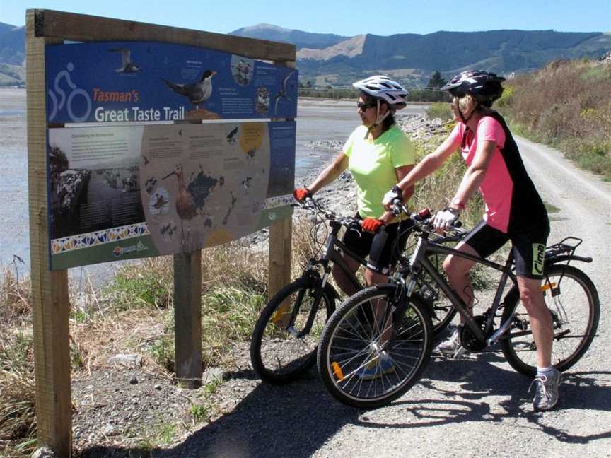 Nelson Cycle Hire and Tours, Nelson, New Zealand