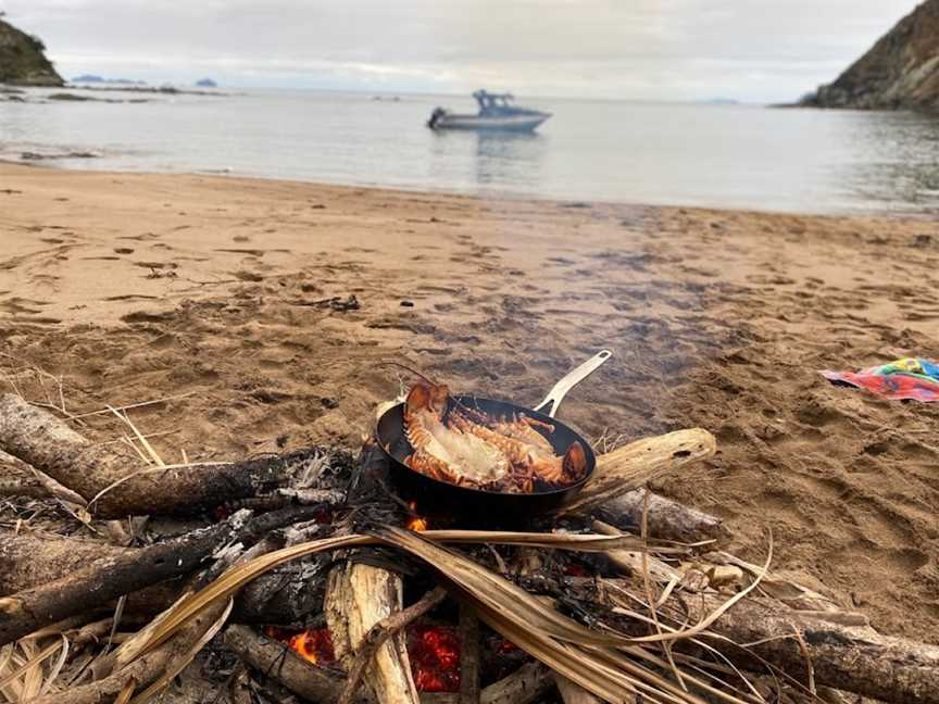 Provider Fishing Charters, Adventures and Retreats, Tairua, Coromandel, New Zealand, Tairua, New Zealand