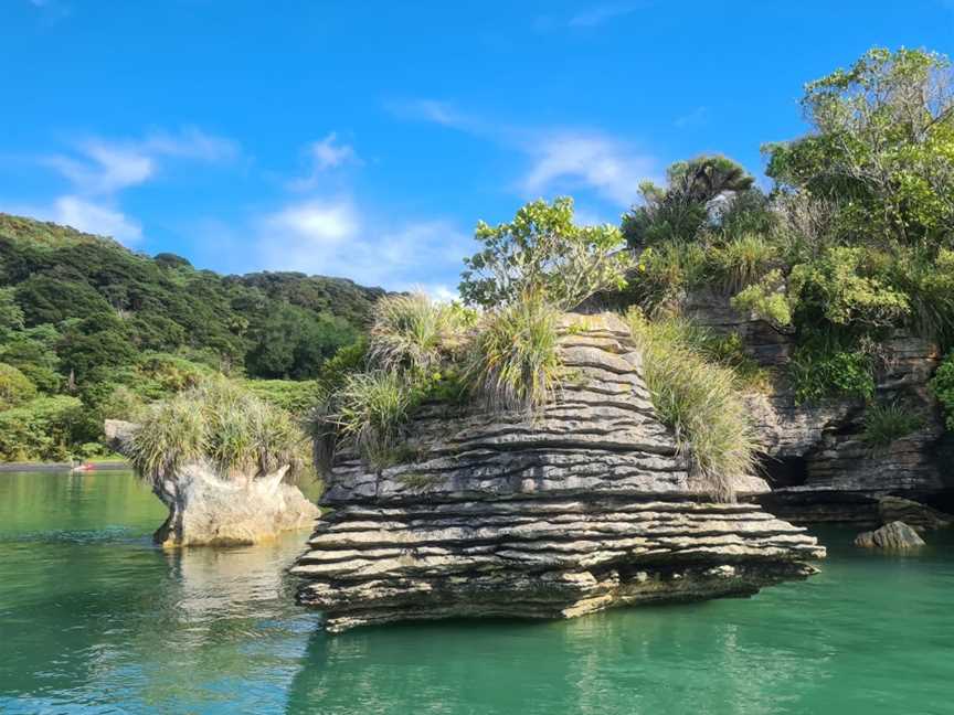 Raglan Harbour Cruises, Raglan, New Zealand