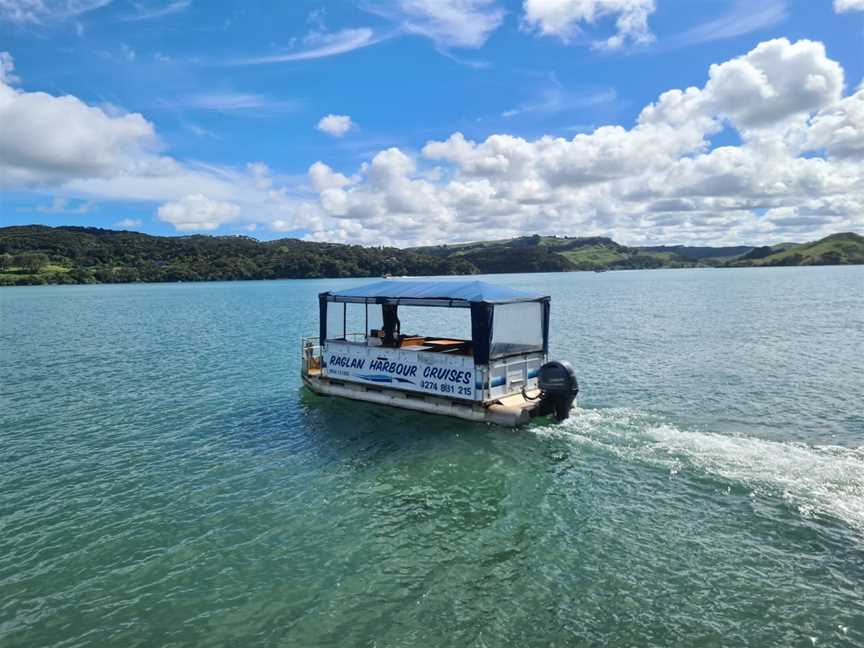 Raglan Harbour Cruises, Raglan, New Zealand