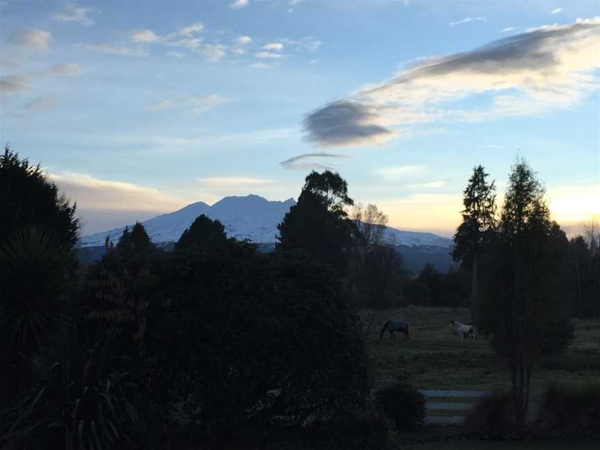 Ruapehu Homestead Horse Treks Ohakune, Ohakune, New Zealand