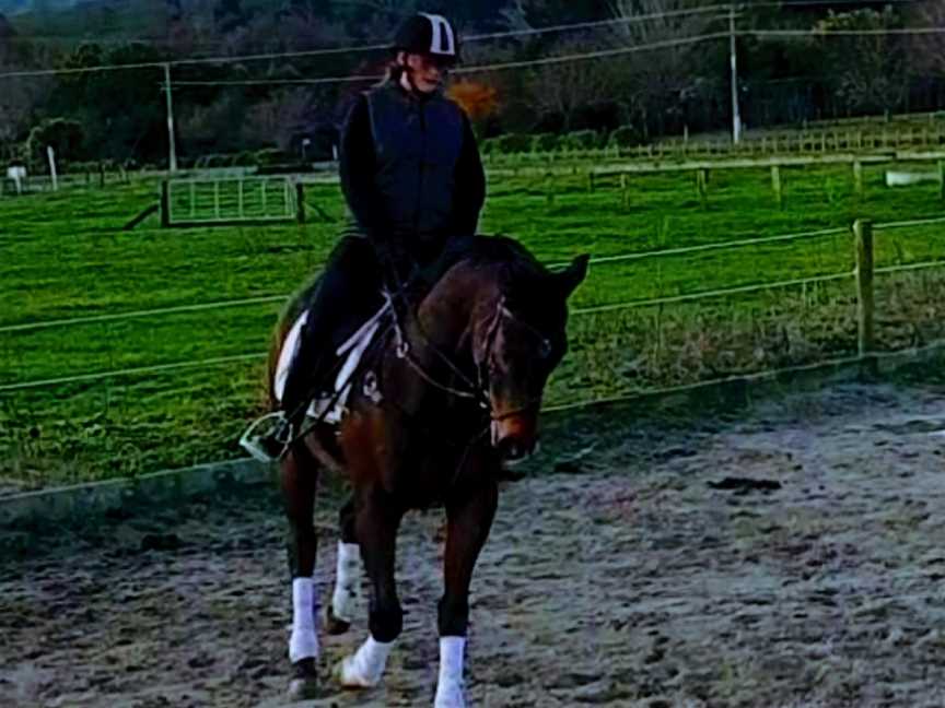 TBL Equestrian Te Aroha, Te Aroha, New Zealand