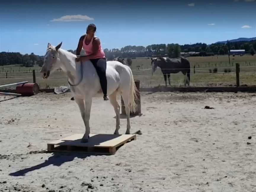 TBL Equestrian Te Aroha, Te Aroha, New Zealand