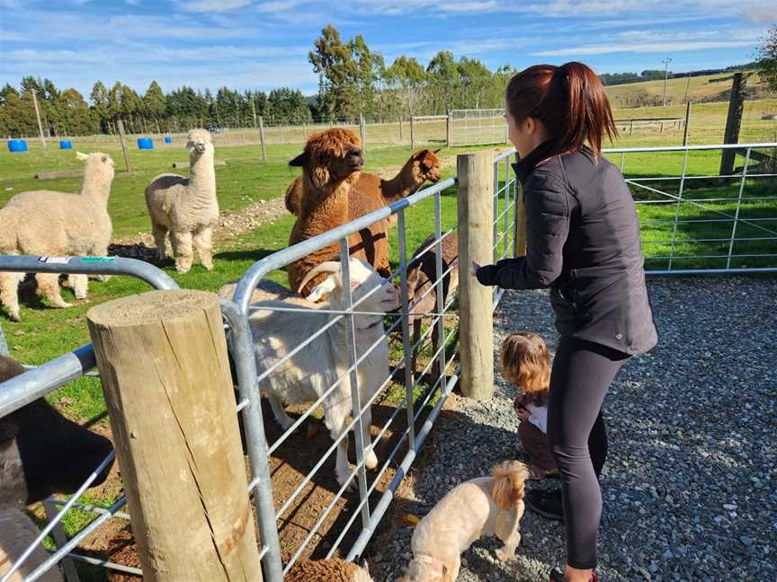 The Shed Farm, Te Anau, New Zealand