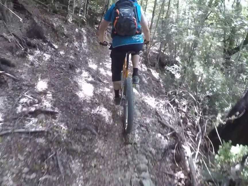 The Wairoa Gorge Mountain Bike Park, Nelson, New Zealand