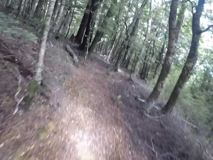 The Wairoa Gorge Mountain Bike Park, Nelson, New Zealand