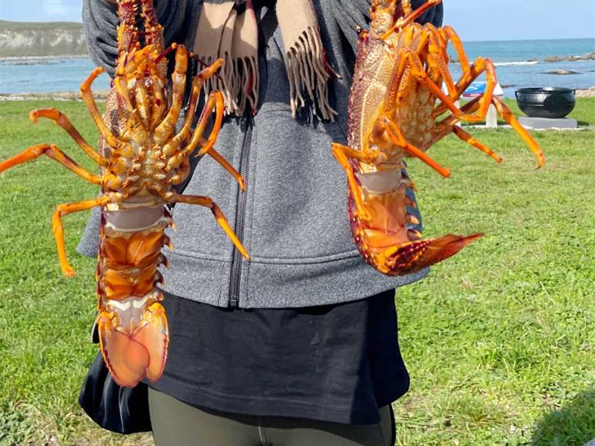 Top Catch Charters - Kaikoura, South Bay, New Zealand