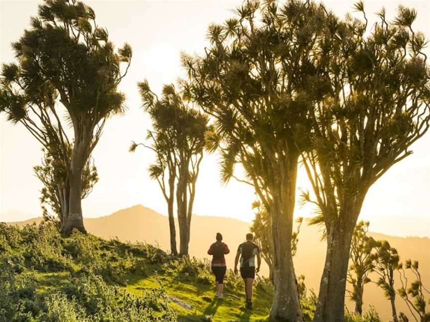 Tora Coastal Walk, Martinborough, New Zealand