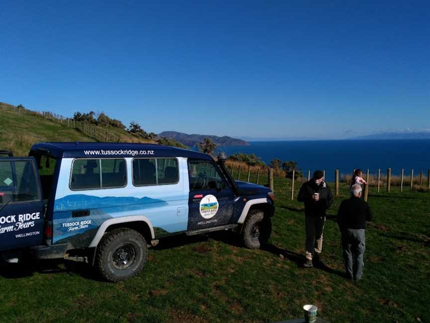 Tussock Ridge Farm Tours, Wellington, New Zealand