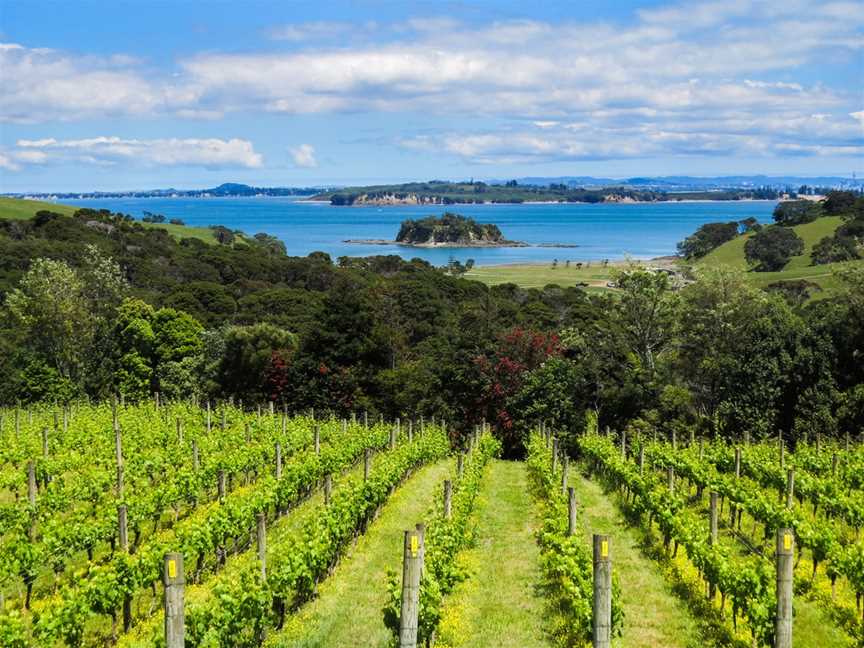 Waiheke Freedom Tours, Waiheke Island, New Zealand