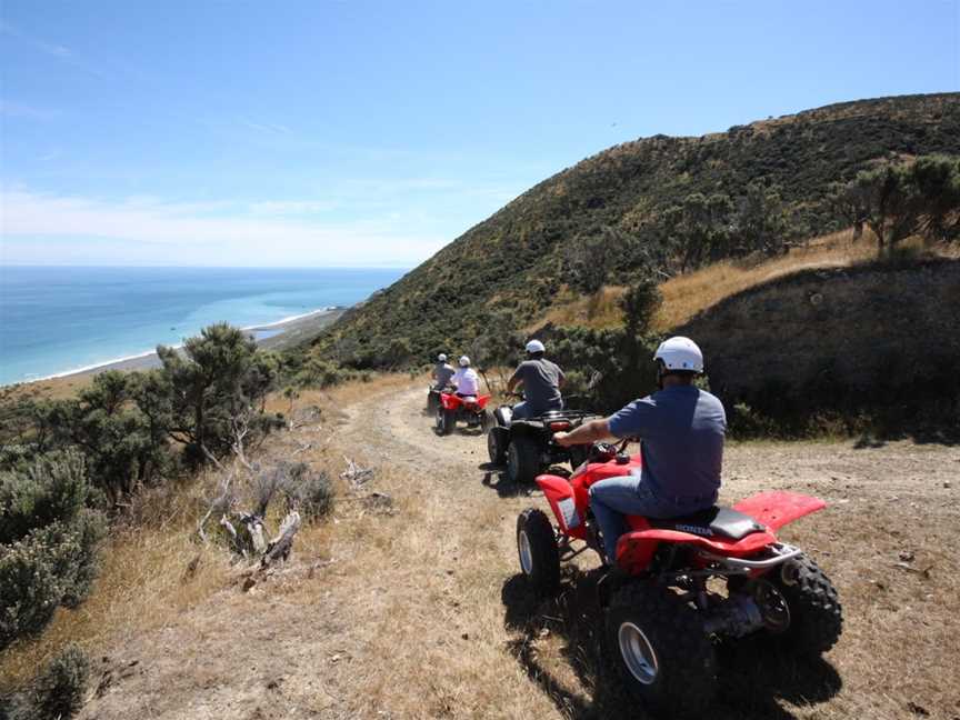 Wellington Adventures, Blue Mountains, New Zealand