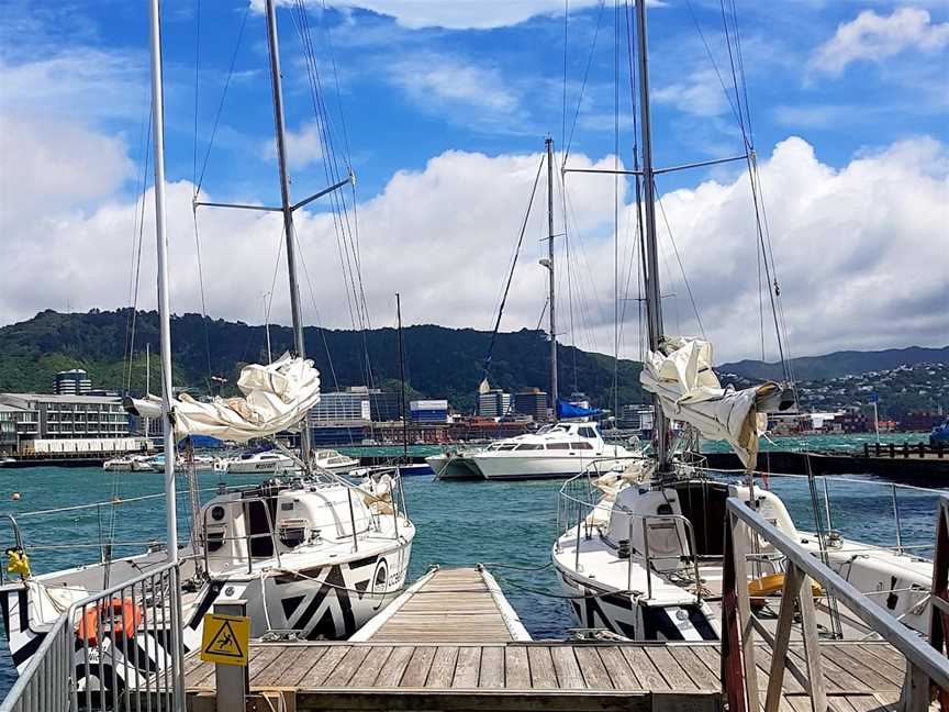 Wellington Ocean Sports, Oriental Bay, New Zealand