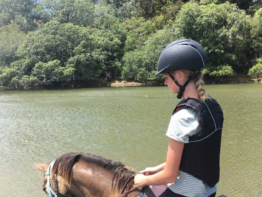 Whananaki Horse Treks, Helena Bay, New Zealand