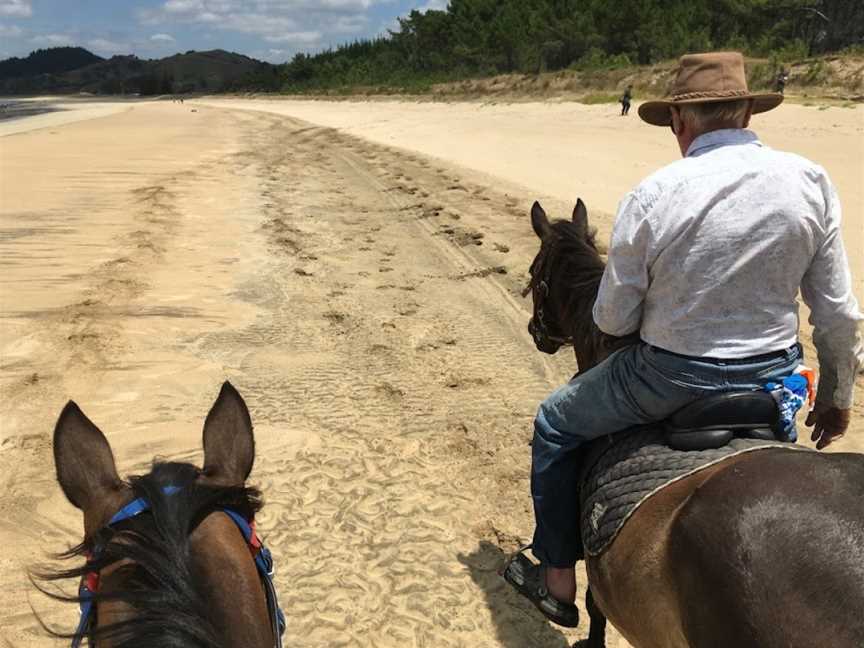 Whananaki Horse Treks, Helena Bay, New Zealand