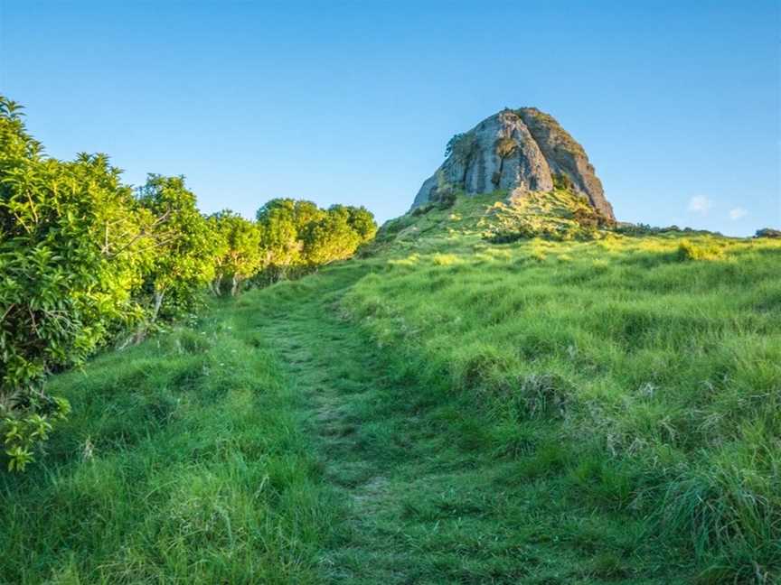 Whangaroa Harbour Adventures, Whangaroa, New Zealand