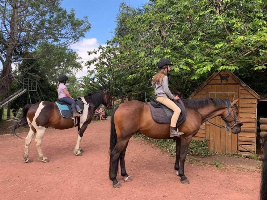 Whangarei City Riding Centre, Tikipunga, New Zealand