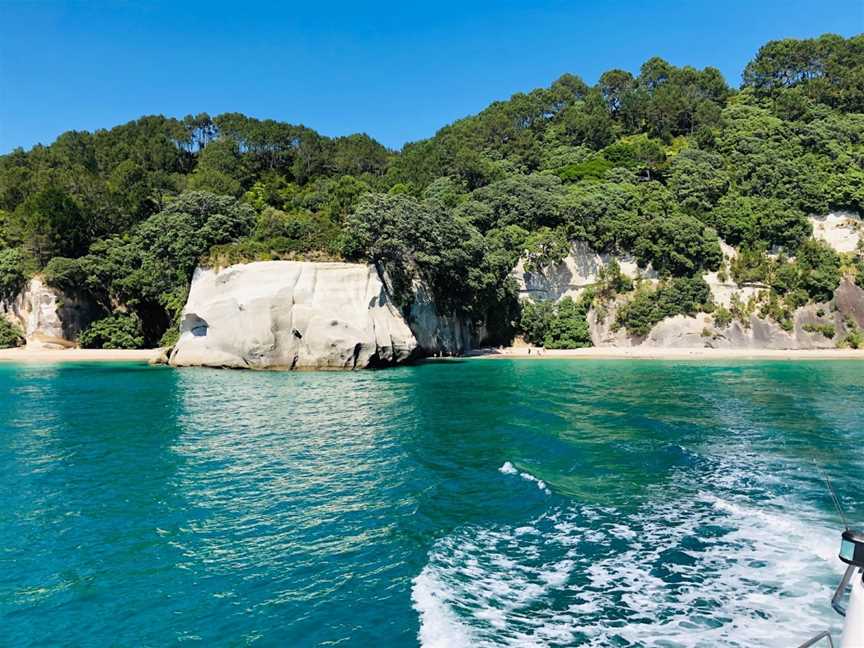 Whitianga Charters, Cooks Beach, New Zealand