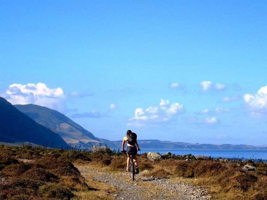 Wildfinder, Wellington, New Zealand