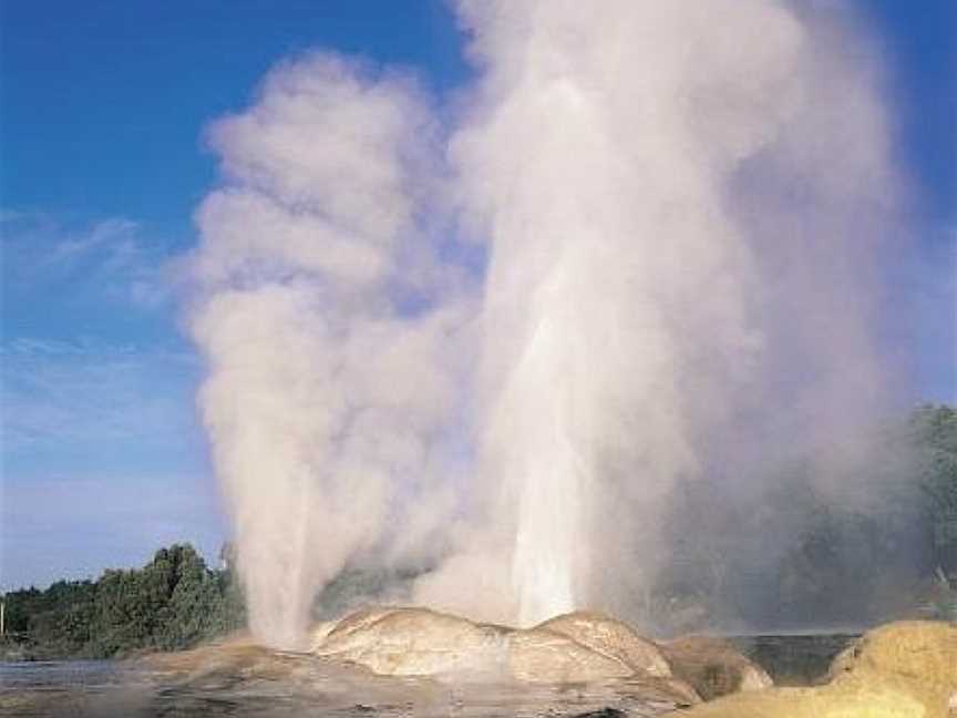 Amazing Day Tours, Tauranga, New Zealand