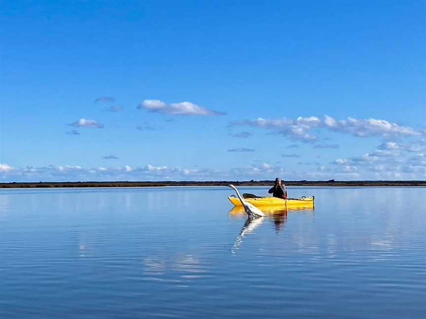 Okarito Kayaks, Okarito, New Zealand