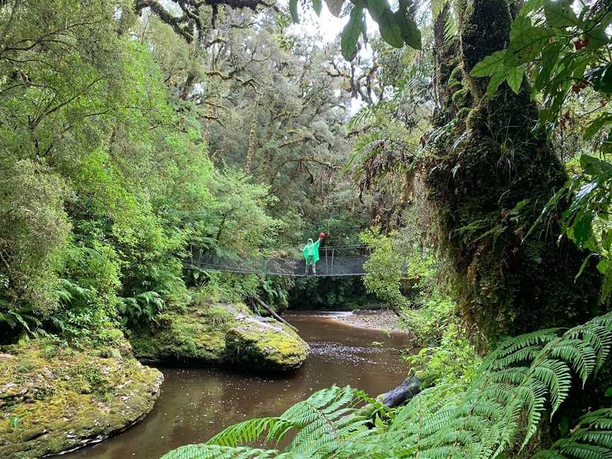 Oparara Kahurangi National Park Guided Tours, Karamea, New Zealand