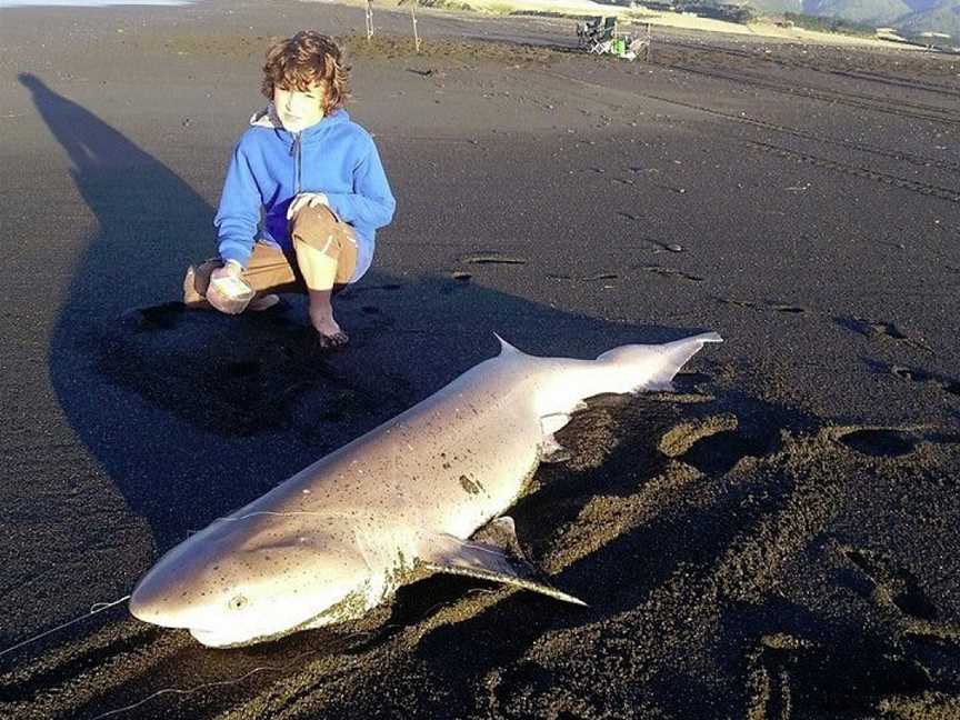 Pete Lamb Fishing, Kilbirnie, New Zealand