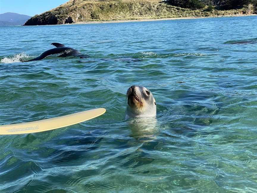 Phil's Sea Kayak, Stewart Island, New Zealand