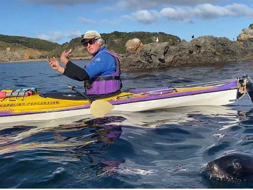 Phil's Sea Kayak, Stewart Island, New Zealand