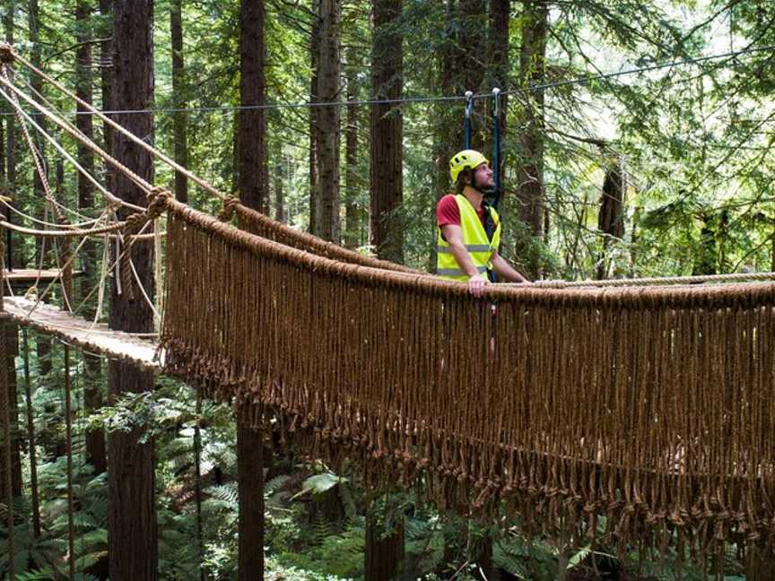 Redwoods Altitude, Rotorua, New Zealand