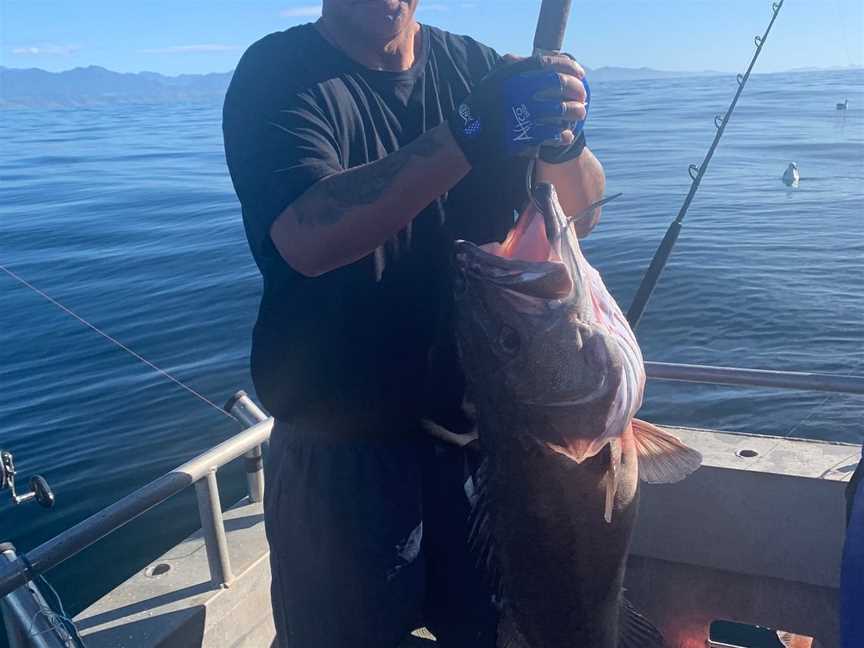 Seamist Fishing Charters, Kaikoura, New Zealand