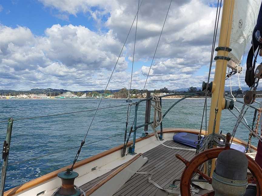 Sounds By Sail day trips, Black Rock, New Zealand