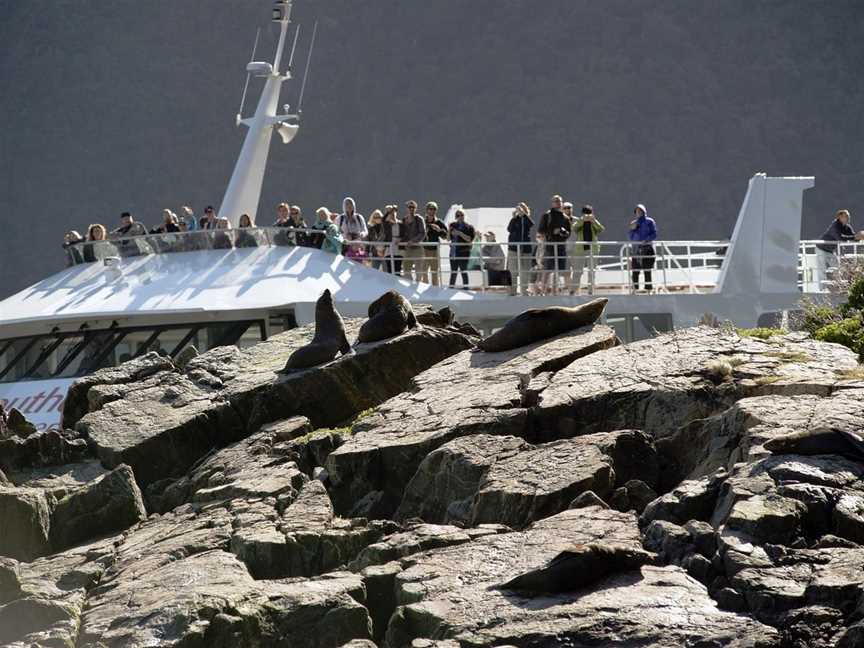 Southern Discoveries - Milford Sound Cruises, The Key, New Zealand