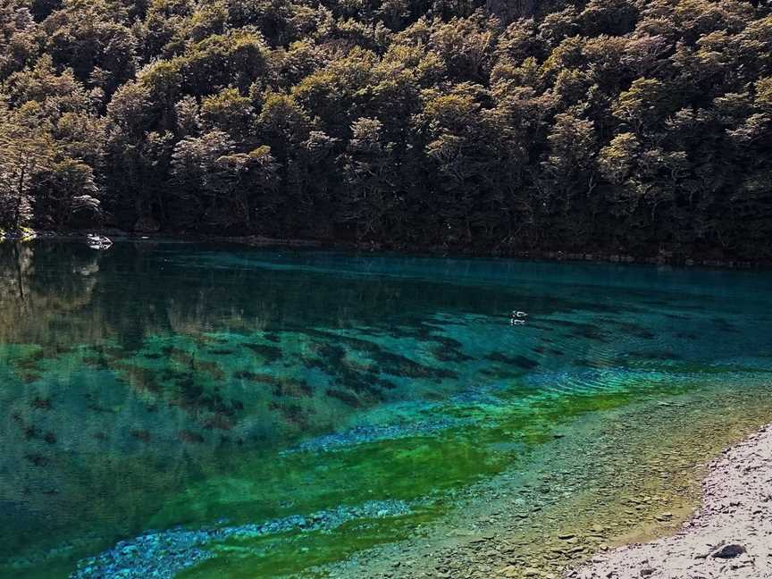 Southern Wilderness, Nelson, New Zealand