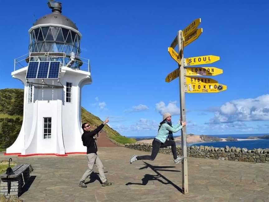 Stevong Travel, Auckland Central, New Zealand