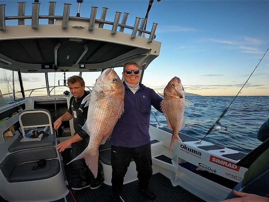 Ultimate Charters., Auckland, New Zealand