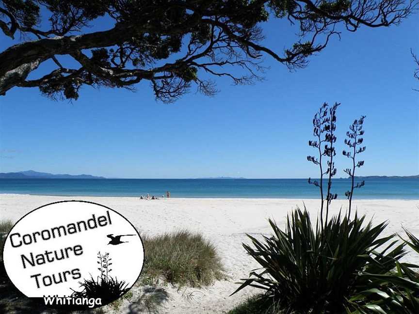 Whitianga Tours and Taxi, Whitianga, New Zealand