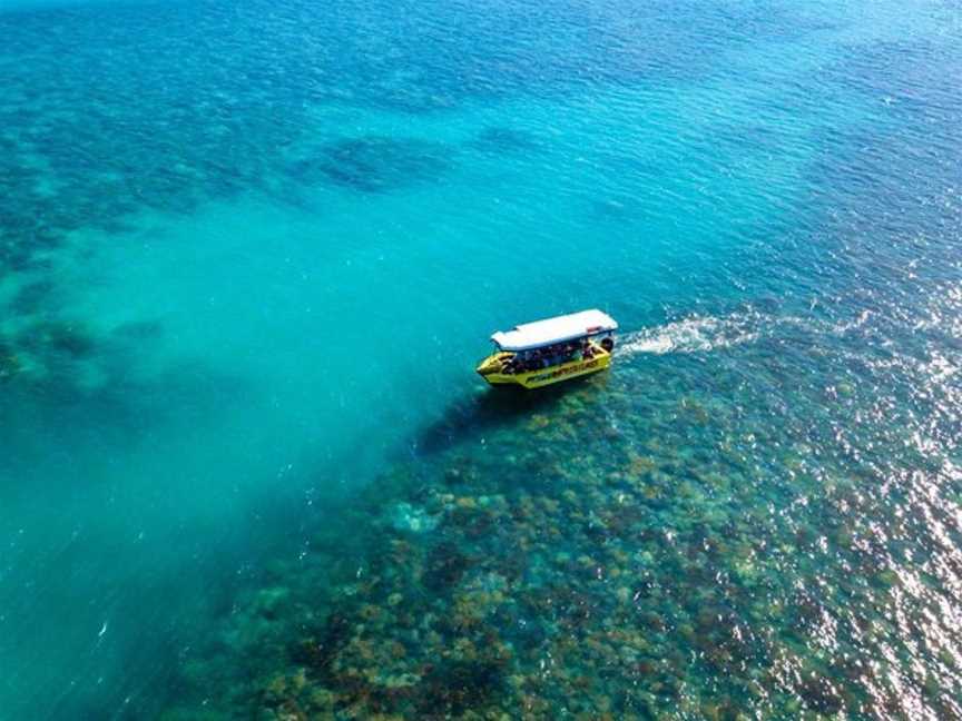 Glass Bottom Boat Tour, Tours in Airlie Beach