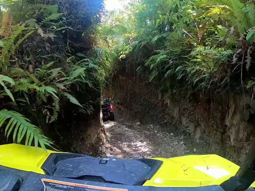 On Yer Bike! Quad bike, Offroad Buggy & Hagglund Adventures, Coal Creek, New Zealand