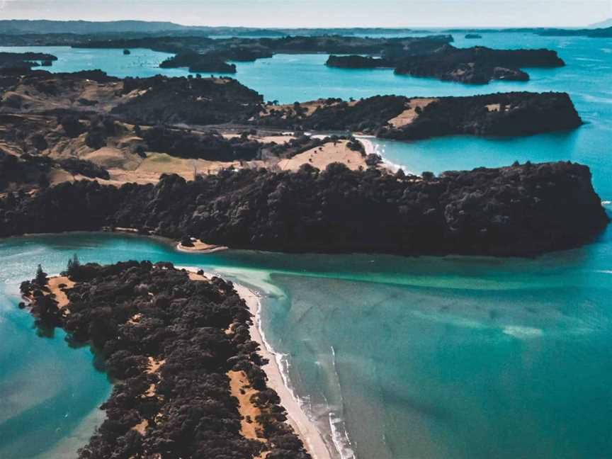 Puhoi Pub River Paddle, Tours in Auckland