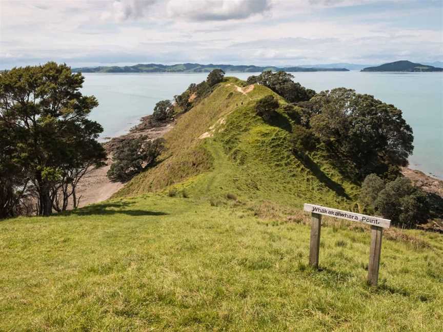 Duder Regional Park walking tours, Tours in Auckland