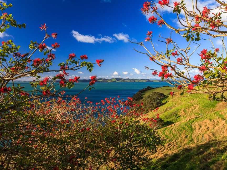 Duder Regional Park walking tours, Tours in Auckland