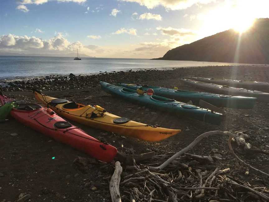 Sunrise Tours, Tours in Auckland