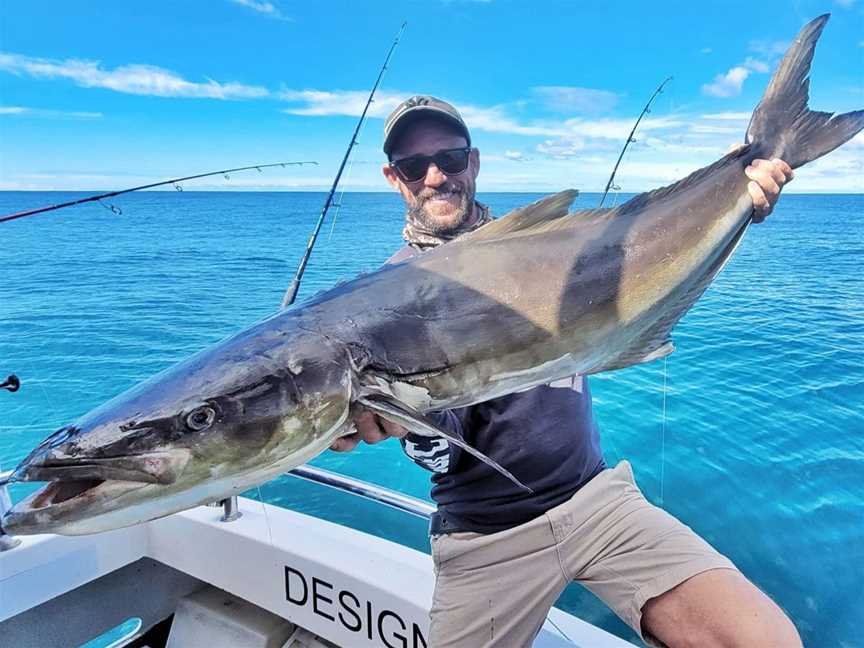 Cobia fishing