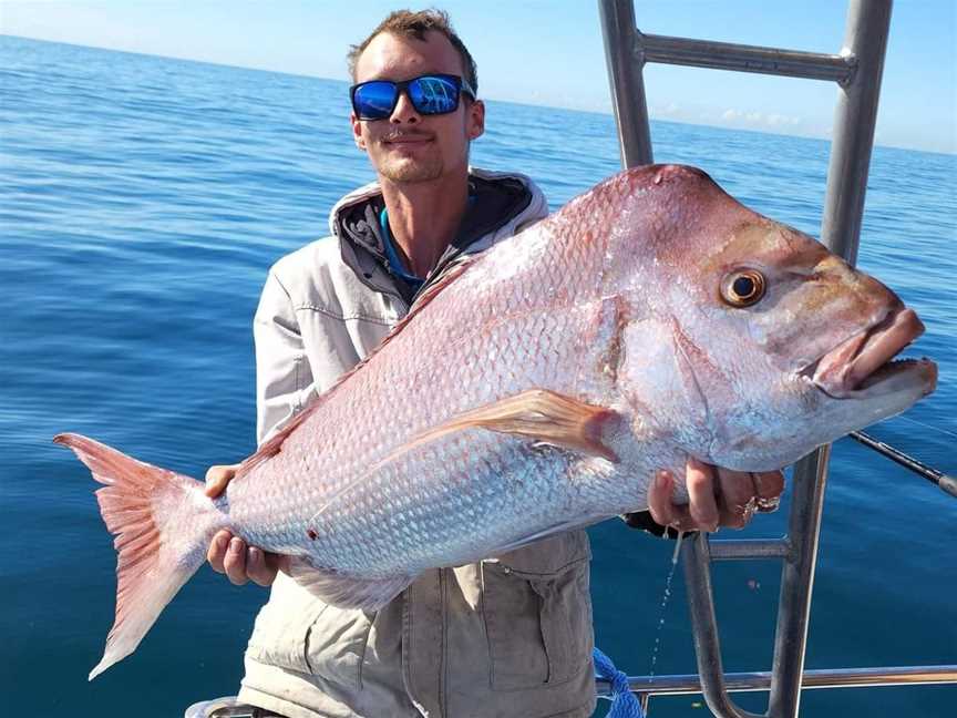 Snapper fishing