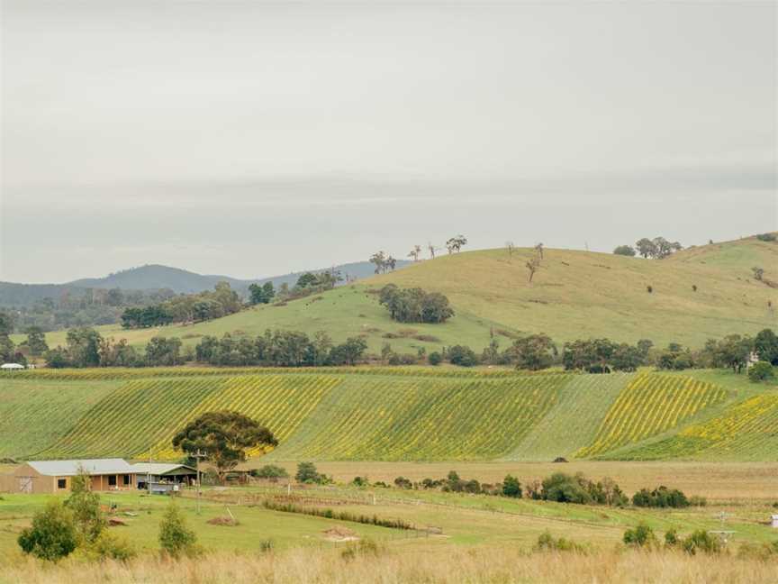 yarra valley wine region